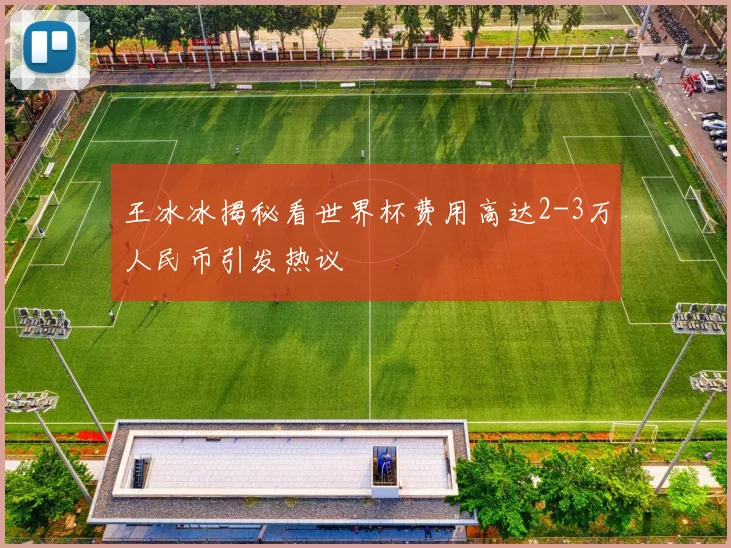王冰冰揭秘看世界杯费用高达2-3万人民币引发热议