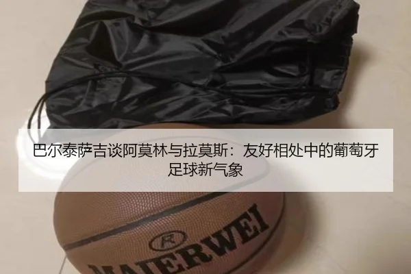 巴尔泰萨吉谈阿莫林与拉莫斯：友好相处中的葡萄牙足球新气象
